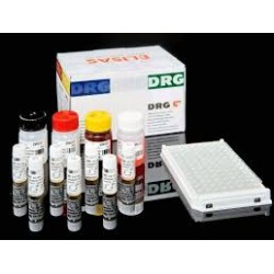 Free Thyroxine (FT4) Reagent 100 Wells