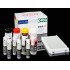 Free Thyroxine (FT4) Reagent 100 Wells