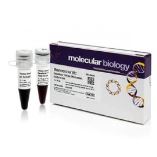 GeneRuler 100 bp DNA Ladder