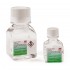 Gentamicin solution, 50mg/mL in deionized water, liquid, sterile-filtered, BioReagent, suitable for cell culture, 100 mL