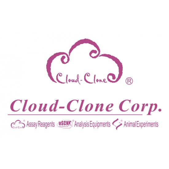 Glutathione Peroxidase (GSH-PX) Assay Kit