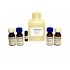 Glutathione Peroxide Assay Kit(ELISA)