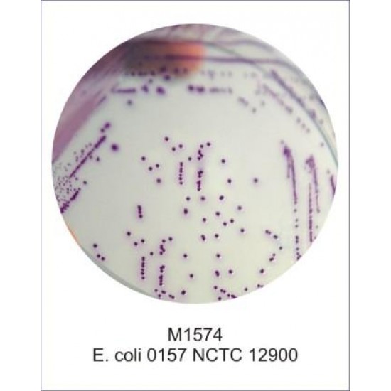 HiCrome™ EC O157 : H7 Agar (equivalent to M1298), 500g HiCrome™ EC O157 : H7 Agar (equivalent to M1298), 500g