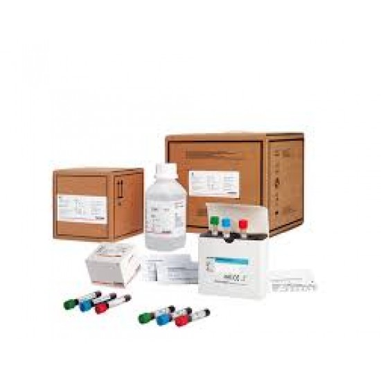 IMTEC DND Antibodies Kit IMTEC DND Antibodies Kit