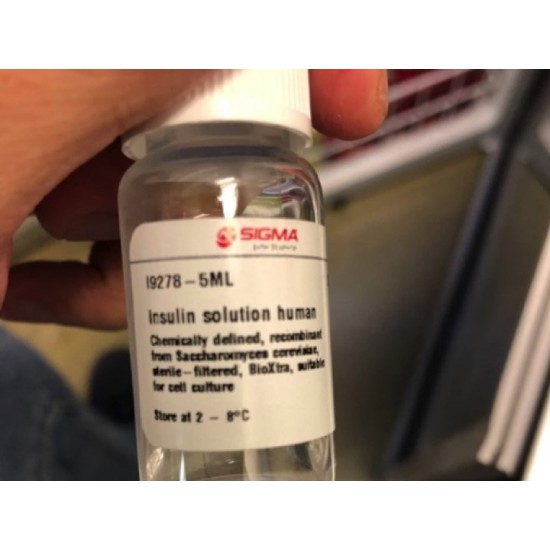 Insulin Solution