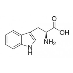L-TRYPTOPHAN FOR BIOCHEMISTRY 99%( 5GM/BTL)