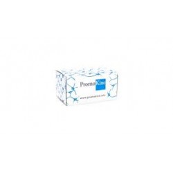 LIVE/DEAD CELL DOUBLE STAINING KIt LIVE/DEAD CELL DOUBLE STAINING KIt