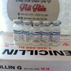 penicillin 1G penicillin 1G