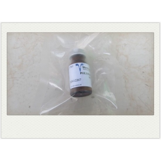 Polyphenol Oxidase 250Gm Polyphenol Oxidase 250Gm
