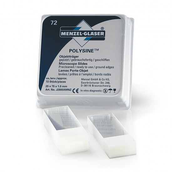 Polysine Adhesive Slides For Microscope Polysine Adhesive Slides For Microscope