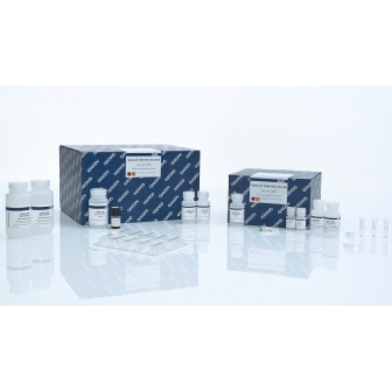 QIAamp DNA Mini Kit (250)- QIAamp DNA Mini Kit (250)-