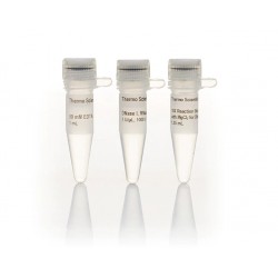 RNase-Free DNase Set (250) RNase-Free DNase Set (250)
