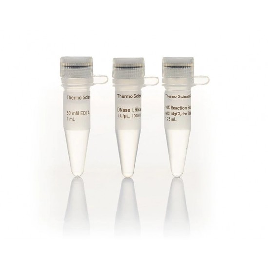 RNase-Free DNase Set (250) RNase-Free DNase Set (250)