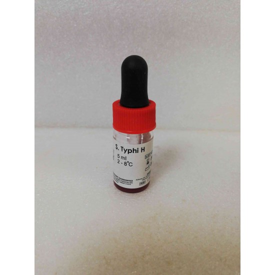 S.Typhi H 5ml