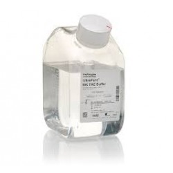 TAE Buffer, 10X (Tris Acetate), 1L TAE Buffer, 10X (Tris Acetate), 1L