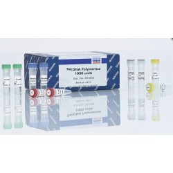 Taq DNA Polymerase (250 U) Taq DNA Polymerase (250 U)