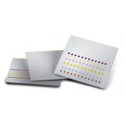 TLC Cellulose 25 Aluminium sheets 20 x 20 cm.pK/25