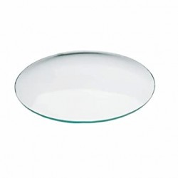 Watch Glass Dish